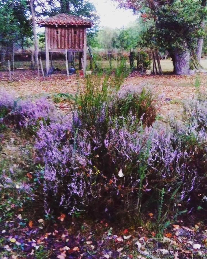 Les Hotes Des Guillemets Laglorieuse Extérieur photo